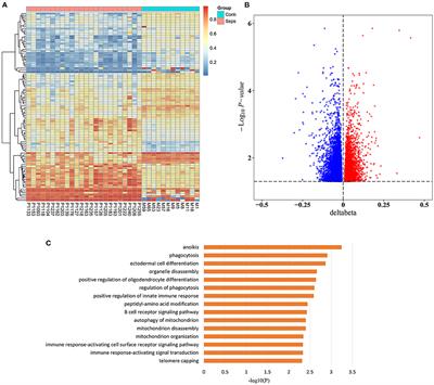 Role of Age-Related Changes in DNA Methylation in the Disproportionate Susceptibility and Worse Outcomes of Sepsis in Older Adults